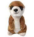 Living Nature Soft Toy - 17x9 cm - Baby Meerkat - Brown/Beige