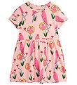 Mini Rodini Kleid - Papagei Aop - Pink