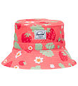 Herschel Bucket-hattur - Smábarnaströnd UV - Shell Bleikt Sweet 