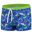 BECO Badehose - Ocean Dinos - UV50+ - Blau