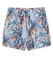 Color Kids Swim Trunks - Aop - Snow White