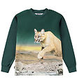 Molo Sweatshirt - Rexton - Puma Green