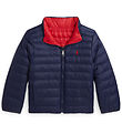 Polo Ralph Lauren Steppjacke - Umkehrbar - Navy/Rot