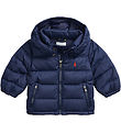 Polo Ralph Lauren Daunenjacke - El Cap - Navy