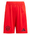adidas Performance Shorts - FCB H SHO Y - Röd