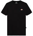 Dickies Stuttermabolur - Youth Mapleton - Prjóna Black