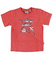 Wheat T-Shirt - Rouge av. Requins