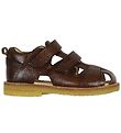 Angulus Sandals - Chestnut w. Velcro