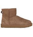 UGG Teddy Boots - W Classic Mini II - Chestnut