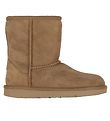 UGG Teddyboots - Classic+ ll - Braun