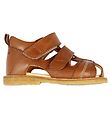 Angulus Sandals - Cognac