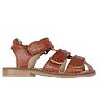 Wheat Sandals - Addison - Amber Brown Flowers