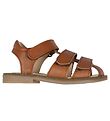 Wheat Sandal - Addison - Amber Brown