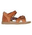 Sandales Wheat - Bout ouvert Macey - Amber Brown