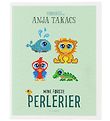 Anja Takacs Buch - Mine Frste Perlerier - Dnisch