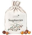 Cocoon Company Laundry Detergant/Soapberries - 500 g