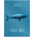 Citatplakat Veggspjald - B2 - Hákarl með þér