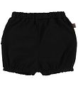 Little Wonders Bloomers - Amber - Black w. Ruffles