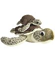 Wild Republic Soft Toy - 37x20 cm - Mother & Baby - Turtle