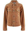 Hound Winterjacke - Cord - Braun