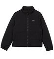 Lacoste Puffer Jacket - Blouson - Black