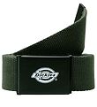 Dickies Belt - Orcutt - Olive Green