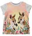 Molo T-Shirt - Elly - Mignonne Kangaroos