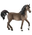 Schleich Animal - H:11,5 cm - Araber Stallion 13907