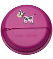 Carl Oscar Snackboks - BentoDISC - 18 cm - Purple Cow
