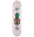 SkatenHagen Skateboard - 7.25 "- Pineapple Skull