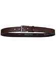 Hound Belt - Brown