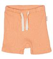 Petit Piao Shortsit - Modal - Peach Ei mitn