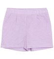 Grunt Shorts - Dana - Purple/White Checks