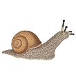Papo Snail - L: 5 cm