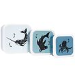 Petit Monkey Lunchbox Set - 3 pcs - Sea Animals