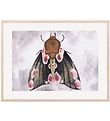 Thats Mine Poster - 30x40 - A Moth's Beauty