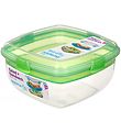 Sistema Lunchbox - Salad & Sandwich - 1,63 l - Green