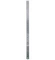 Linex Ruler - 60 cm - Steel