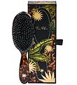 Fan Palm Hairbrush - Medium - Shell Tortoise