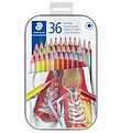 Staedtler Trélitir - Sexhyrndur - 36 Stk.