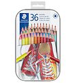 Staedtler Buntstifte - Sechseckig - 36 st.