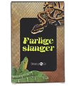 Straarup & Co Card Games - Play & Read - Dangerous Snakes