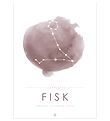 Citatplakat Affisch - A3 - Constellation - Fisk - Rosa