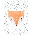 Citatplakat Veggspjald - B2 - Barnalegt Fox