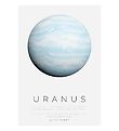 Citatplakat Poster - B2 - Uranus