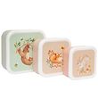 Petit Monkey Lunchbox - 3-Pack - Bear And His Friends