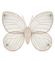Mimi & Lula Wings - Butterfly - Grey w. Gold Glitter