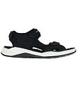 Ecco Sandal - X-Trinsic - Black