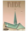 Vissevasse Poster - 30x40 - Ribe - Storks