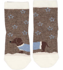Melton Sokkar - Dachshund - Denver Melange
